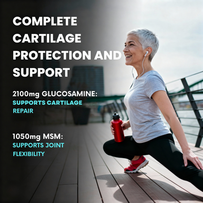 Glucosamine Chondroitin MSM - Joint Support