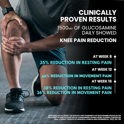 Glucosamine Chondroitin MSM - Joint Support