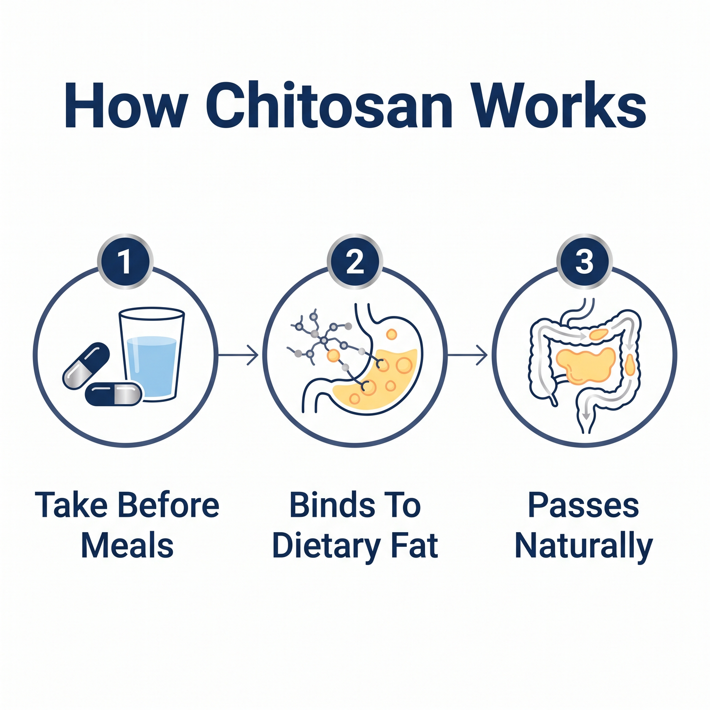 NutraPure Chitosan 1200mg