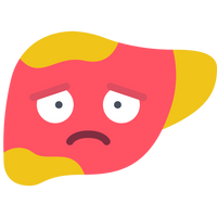 Fatty Liver Support